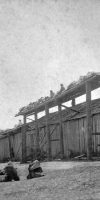 pn01465 (Row of Longhouses at Sti’ilup (Departure Bay), circa 1870) .pdf